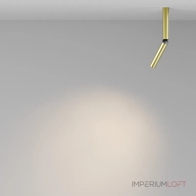 Потолочный светильник Maytoni Ceiling C142CL-6W3K-BS
