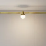 Трековый светильник Maytoni FLARITY TR149-1-5W3K-BS