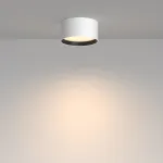 Потолочный светильник Maytoni Ceiling C091CL-12W3K-W от ImperiumLoft