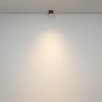 Потолочный светильник Maytoni Ceiling C095CL-GX53-B