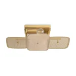Потолочный светильник Freya Саффле / Säffle FR5572CL-02G