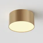Потолочный светильник Maytoni Ceiling C032CL-12W2.7K-RD-MG