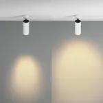 Потолочный светильник Maytoni Ceiling C055CL-L12W2.7K-Z-W