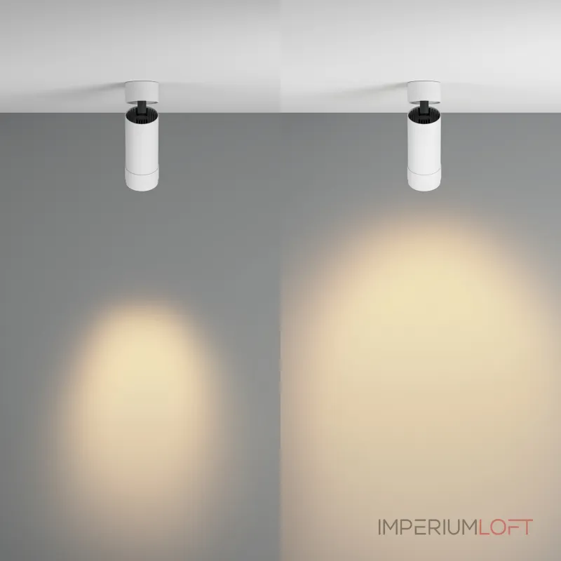 Потолочный светильник Maytoni Ceiling C055CL-L12W2.7K-Z-W