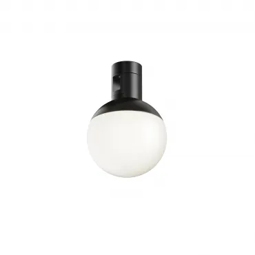 Трековый светильник Maytoni Luna TR149-1-5W4K-B