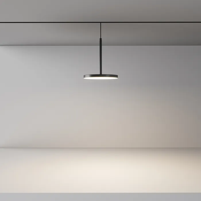Трековый светильник Maytoni EXILITY TR123-2-15W4K-B от ImperiumLoft
