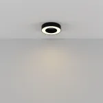 Потолочный светильник Maytoni Lua C093CL-24W3K-B