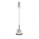 Подвесной светильник Maytoni Pendant P102PL-12W4K-W от ImperiumLoft