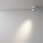 Потолочный светильник Maytoni Magic C022CL-L7W4K