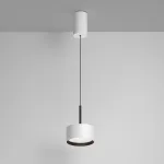 Подвесной светильник Maytoni Pendant P102PL-12W4K-W от ImperiumLoft