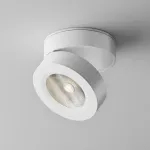 Потолочный светильник Maytoni Magic C022CL-L7W4K