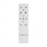 Потолочный светильник Freya Nation Market FR10028CL-L80B