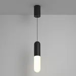 Подвесной светильник Maytoni Pendant P101PL-L300-12W3K-B