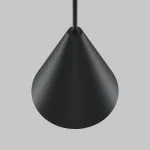 Трековый подвесной светильник Maytoni BASITY TR182-1-5WTW-M-B от ImperiumLoft