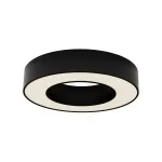 Потолочный светильник Maytoni Lua C093CL-24W3K-B