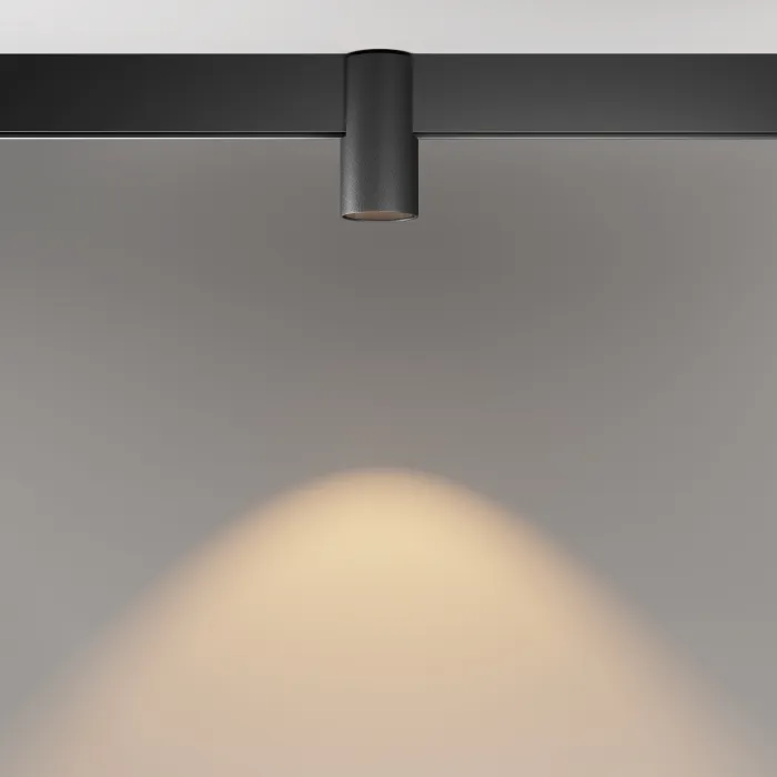 Трековый светильник Maytoni EXILITY TR122-2-7W3K-B от ImperiumLoft