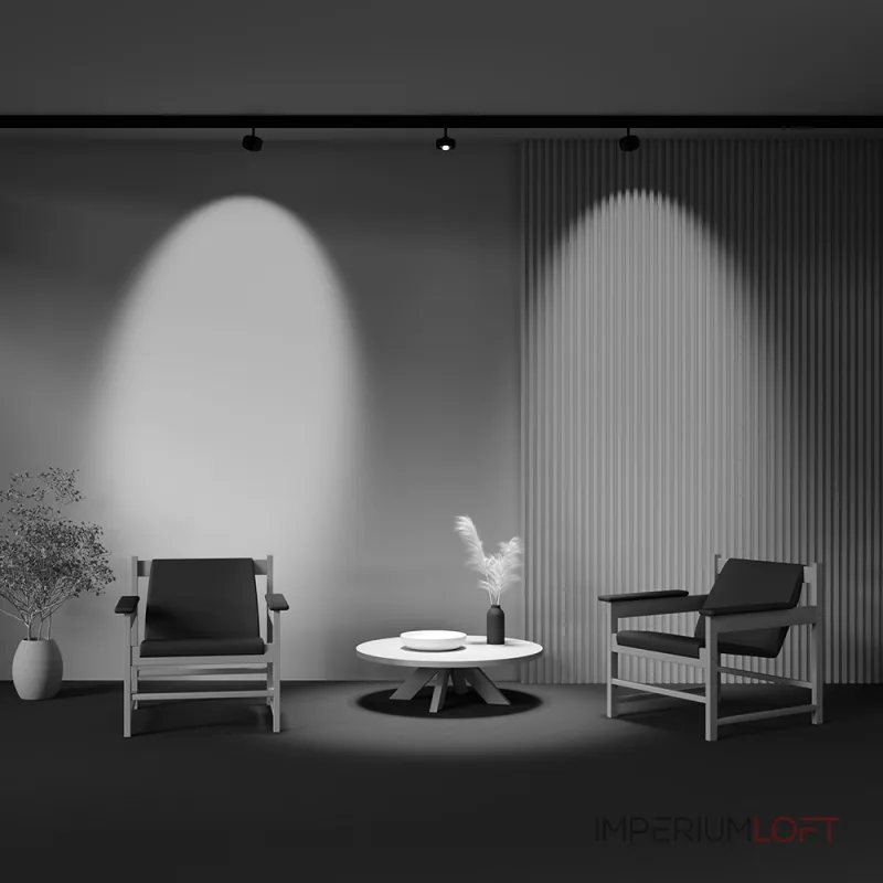 Трековый светильник Maytoni EXILITY TR217-2-15W3K-B