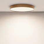 Потолочный светильник Maytoni Ceiling C032CL-90W4K-RD-MG