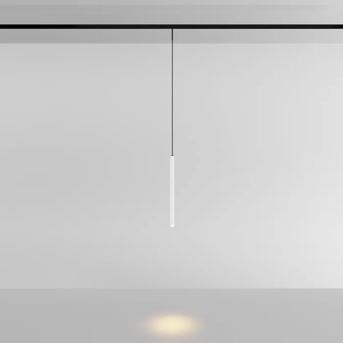 Трековый подвесной светильник Maytoni LEVITY TR191-1-3W3K-M-BW от ImperiumLoft