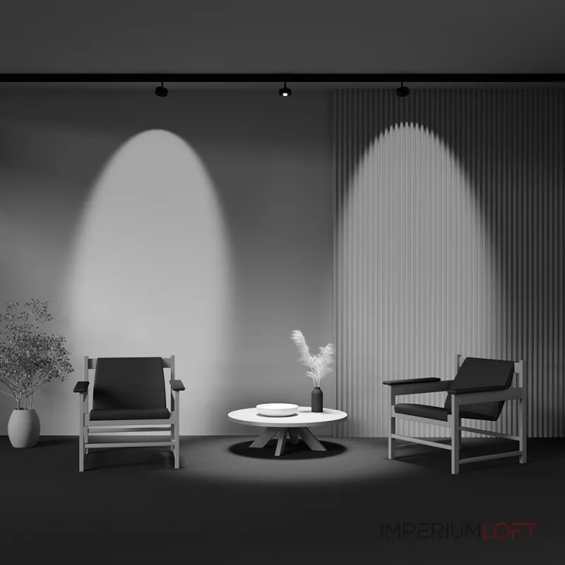 Трековый светильник Maytoni EXILITY TR217-2-15W4K-B