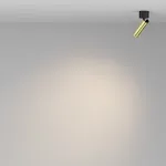 Потолочный светильник Maytoni Ceiling C141CL-L125-6W3K-BBS