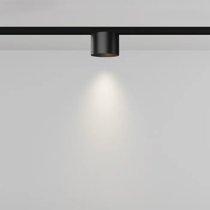 Трековый светильник Maytoni LEVITY TR188-1-5W4K-M-B от ImperiumLoft
