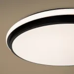 Потолочный светильник Freya Пирог / Pie FR6086CL-L117B