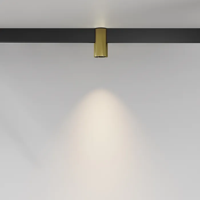 Трековый светильник Maytoni EXILITY TR122-2-7W3K-BS от ImperiumLoft