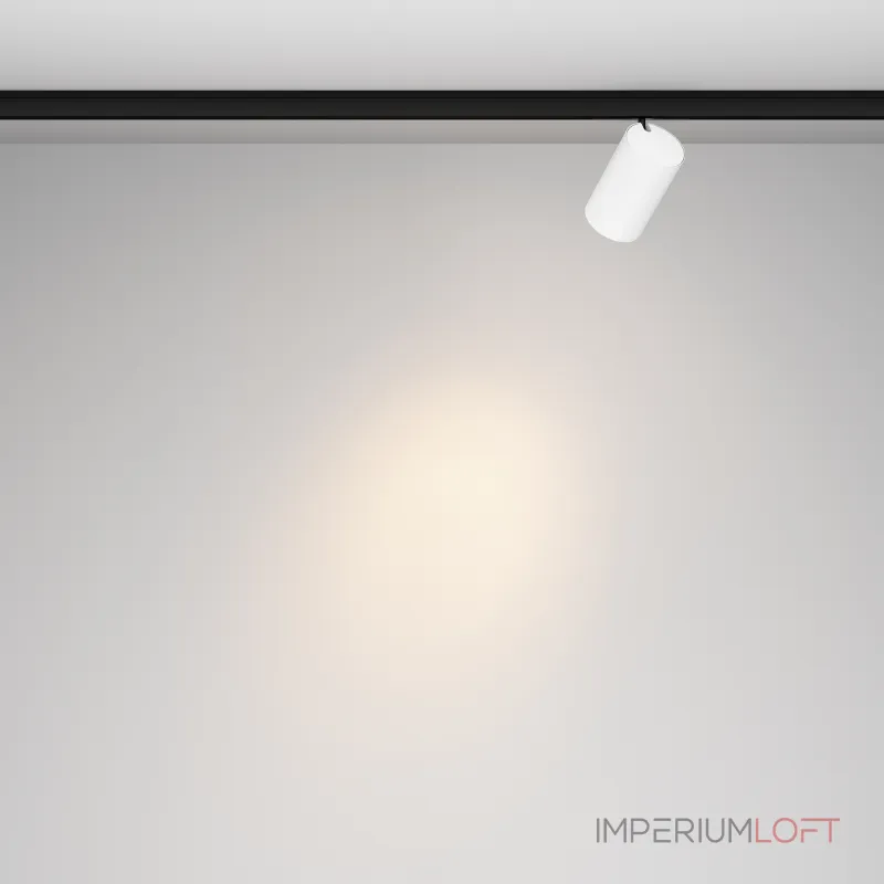 Трековый светильник Maytoni LEVITY TR187-1-9W3K-M-BW
