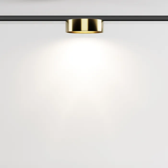 Трековый светильник Maytoni LEVITY TR189-1-12W4K-BBS от ImperiumLoft