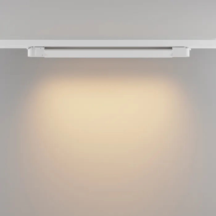 Трековый светильник Maytoni TRINITY TR196-3-20W2.7K-W от ImperiumLoft