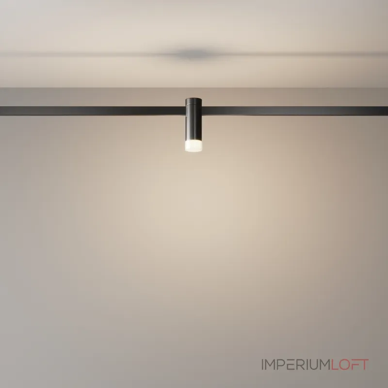 Трековый светильник Maytoni FLARITY TR145-1-3W3K-W-B
