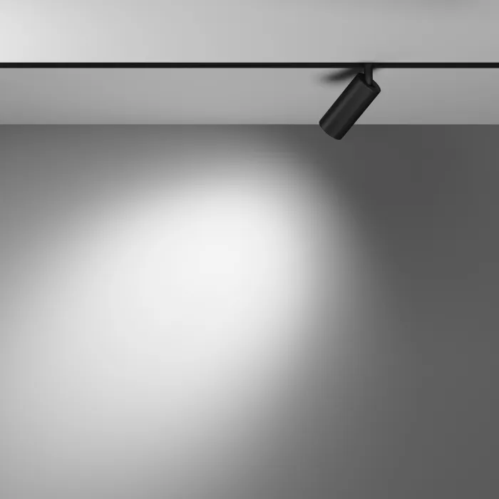 Трековый светильник Maytoni Focus LED TR032-4-5WTW-M-DSZ-B от ImperiumLoft