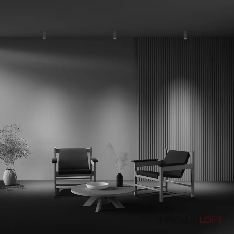 Потолочный светильник Maytoni Фокус C010CL-01W-N