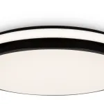 Потолочный светильник Freya Пирог / Pie FR6086CL-L117B