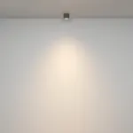 Потолочный светильник Maytoni Ceiling C095CL-GX53-GR