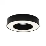 Потолочный светильник Maytoni Lua C093CL-24W4K-B