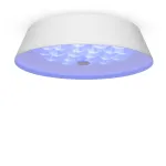 Потолочный светильник Freya Cells FR10013CL-L24W