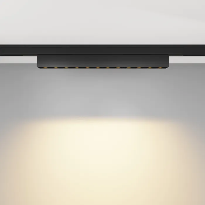 Трековый светильник Maytoni LEVITY TR193-1-10W2.7K-M-B от ImperiumLoft