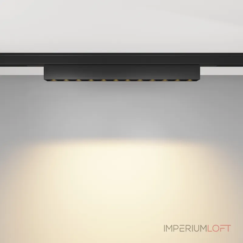 Трековый светильник Maytoni LEVITY TR193-1-10W2.7K-M-B