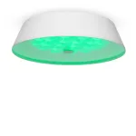 Потолочный светильник Freya Cells FR10013CL-L24W