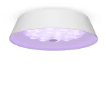 Потолочный светильник Freya Cells FR10013CL-L24W