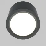Потолочный светильник Maytoni Ceiling C095CL-GX53-GR