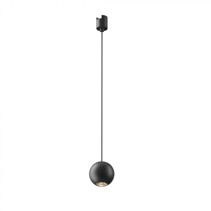 Трековый подвесной светильник Maytoni ELASITY TR165-1-8W3K-M-B от ImperiumLoft