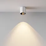 Потолочный светильник Maytoni Alfa LED C064CL-5W3K-RD-WB
