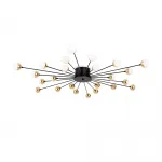 Потолочный светильник Celebrity FR5242CL-24B