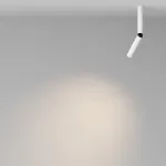 Потолочный светильник Maytoni Ceiling C142CL-6W3K-W от ImperiumLoft