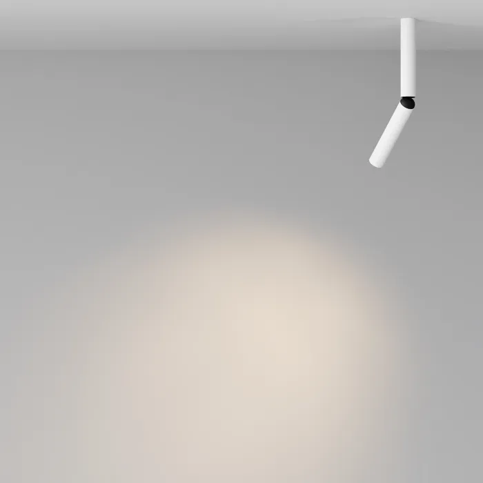 Потолочный светильник Maytoni Ceiling C142CL-6W3K-W от ImperiumLoft
