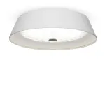 Потолочный светильник Freya Cells FR10013CL-L24W