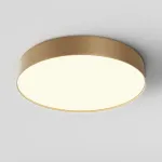 Потолочный светильник Maytoni Ceiling C032CL-45W3K-RD-MG